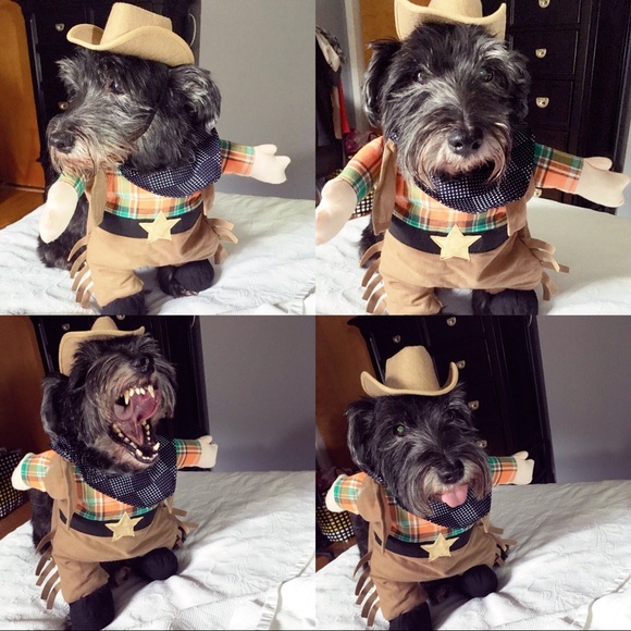 cowboy halloween costume for a dog